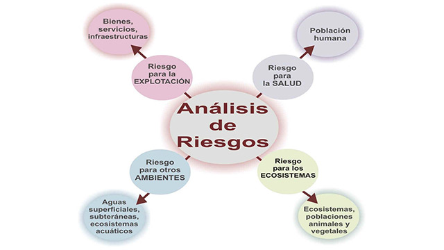 RISK ANALYSIS, ENVIRONMENTAL HEALTH and QUALITY